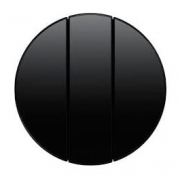 Berker R.1, R.3, R.8 Черный Глянцевый Клавиша 3-ая