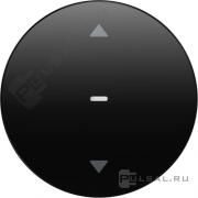 Кнопка для вставки жалюзи
R.1,  R.3,  R.8,  без фиксации,   цвет - черный глянцевый