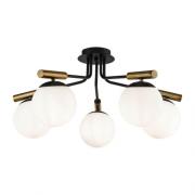 Потолочный светильник.Черный
Maytoni,  FR5011CL-05B