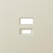 Накладка для розетки USB
A07 NATURAL,  A07,  A07 WAVE,  USB type-C 5V,  USB type-A 5V,  двойная,   цвет - шампань