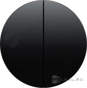 Клавиши
R.1,  R.3,  R.8,  двухклавишный,  без подсветки,   цвет - черный глянцевый