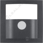 Накладка датчика
B.3,  B.7,  двухпроводный,  трехпроводный,   цвет - антрацит матовый