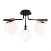 Потолочный светильник.Черный
Maytoni,  FR5011CL-03B