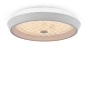 Потолочный светильник.Белый
Maytoni,  FR10012CL-L24W