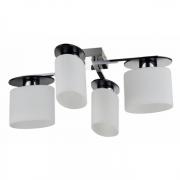 Потолочный светильник.Хром
Maytoni,  FR5101-CL-04-CN