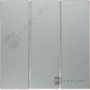 Клавиши
B.7,  трехклавишный,  без подсветки,   цвет - алюминий матовый