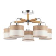 Потолочный светильник.Хром
Maytoni,  FR5329-PL-05-CH