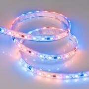 Светодиодная лента герметичная SPI-P-B60-12mm 12V RGB-PX3 (14.4W/m, IP66, 5060, 5m) (Arlight, бегущи
Аrlight,   длина - 5м,   ширина - 12мм,  290Лм/м,   мощность - 14Вт/м,   цвет свечения  - RGB,   напряжение - 12 ВВ,  smd 5060,  026365(3) ARL