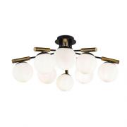 Потолочный светильник.Черный
Maytoni,  FR5011CL-08B