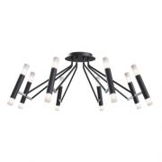 Потолочный светильник, Черный, Modern
Maytoni,  MOD620CL-16B