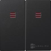 КлавишиSimon 82 Detail, Simon 82 Nature, Simon 82, двухклавишный, с подсветкой, цвет - графит