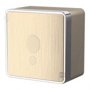 Кабельный вывод
Gallant,   цвет - шампань рифленый