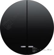 Клавиши
R.1,  R.3,  R.8,  двухклавишный,  с подсветкой,   цвет - черный глянцевый