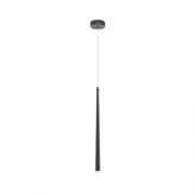 Подвесной светильник.Черный
Maytoni,  MOD132PL-L28BK