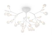 Потолочный светильник.Белый
Maytoni,  FR5049CL-36W1