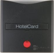 Hакладка карточного выключателя
B.3,  B.7,  с индикацией,   цвет - антрацит матовый