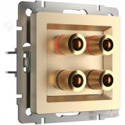 Розетка акустическая
Alumax,  Split,  Slab,  Senso,  Baguette,  Acrylic,  Platinum,  Elite,  Snabb,  Stream,  Flock,  Stark,  Fiore,  Favorit,  Diamant,  Aluminium,  Antik,  Metallic,  2 пары,   цвет - шампань