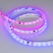 Светодиодная лента герметичная SPI-SE-B60-10mm 24V RGB-PX6-BPT (12 W/m, IP65, 5060, 5m) (Arlight, бе
Аrlight,   длина - 5м,   ширина - 10мм,  310Лм/м,   мощность - 12Вт/м,   цвет свечения  - RGB,   напряжение - 24 ВВ,  smd 5060,  039601 ARL