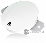 Беспроводное зарядное устройство стандарта Qi, диам.62мм, Type 1
R.1,  R.3,  R.8,  R.Classic,  K.1,  K.5,  Q.1,  Q.3,  Q.7,  S.1,  B.3,  B.7,  1930,  Glas,  Qi беспроводная,  двойная,   цвет - белый