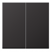 Jung LS 990 Алюминий темный Клавиша 2-ая