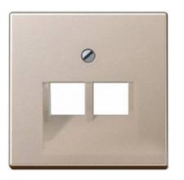 Jung A 500 Шампань Накладка 2-ой наклонной ТЛФ/комп розетки