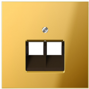 Jung LS 990 Золото Накладка 2-ой наклонной ТЛФ/комп розетки