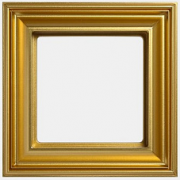 Jung ECO profi Deco Золотой Рамка 1-ая