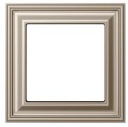 Jung ECO profi Deco Шампань Рамка 1-ая