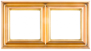 Jung ECO profi Deco Золотой Рамка 2-ая