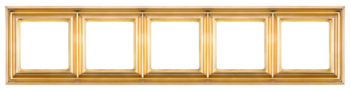 Jung ECO profi Deco Золотой Рамка 5-ая