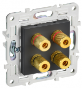 IEK Skandy Титан Розетка акустическая 2 пары